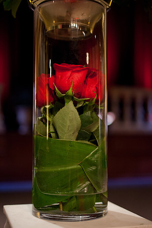 20120804_MRY_084_IMG_9976