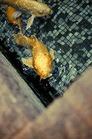 20120518_MBD_015_IMG_7901