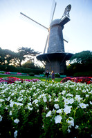 20120914_APC_019_IMG_1429