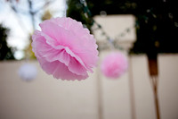 20121208_JRP_007_IMG_0923