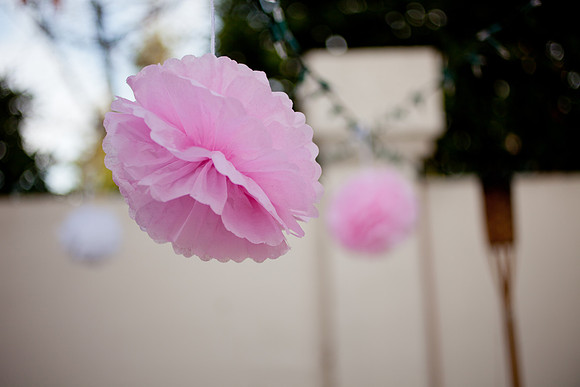 20121208_JRP_007_IMG_0923