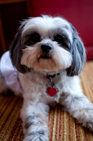 20121027_PAB_003_IMG_3398