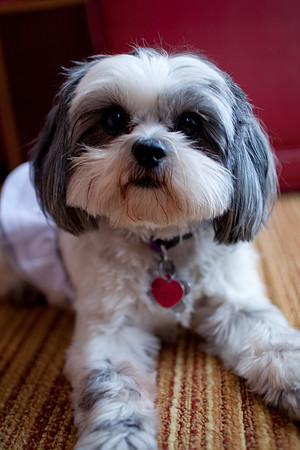 20121027_PAB_003_IMG_3398