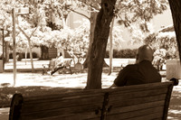 20120603_SJ_001_IMG_0424