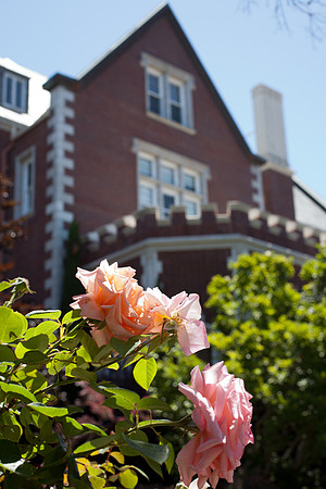 20120707_TJR_007_IMG_4391