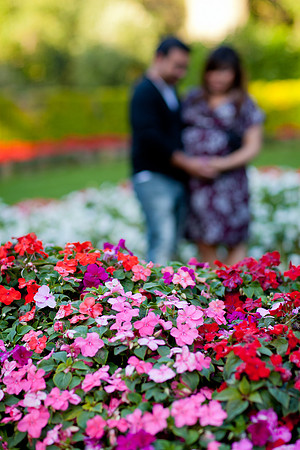 20120914_APC_017_IMG_1414