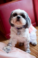 20121027_PAB_004_IMG_3412
