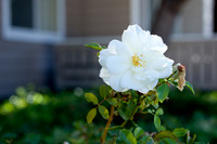 20121027_PAB_001_IMG_3391
