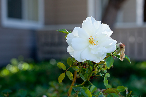 20121027_PAB_001_IMG_3391
