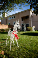 20121208_JRP_001_IMG_0902