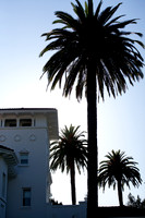 20120824_SJP_003_IMG_7431
