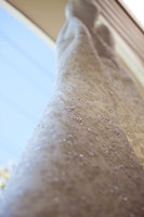 20121027_PAB_017_IMG_3487