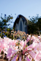 20120824_SJP_006_IMG_7448